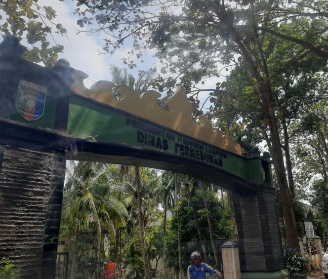 
					Pengadaan 300 Ribu Bibit Kopi di Dinas Perkebunan Lampung Terindikasi Dugaan Markup  