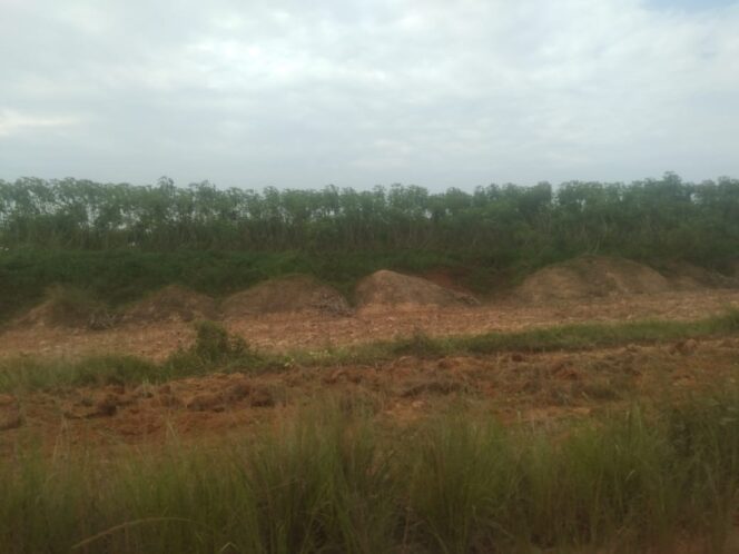 
					Jadi Ladang Bisnis, Lahan Hibah Pemprov untuk Unila Disewakan Rp. 5 Juta per Hektare