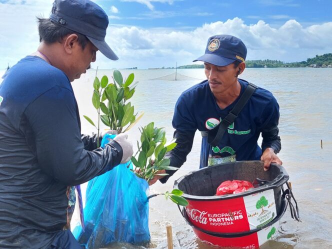 
					Dukung Program Pengurangan Emisi Karbon dan Lindungi Pesisir, CCEP Indonesia Tanam Mangrove di Cuku Nyinyi