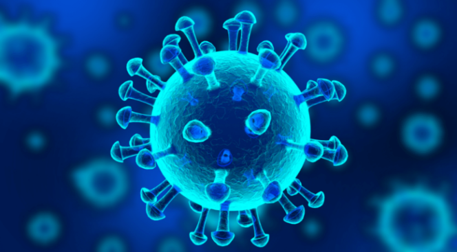 
					Menkes Umumkan Virus Covid-19 Varian Omicron Telah Masuk ke Indonesia