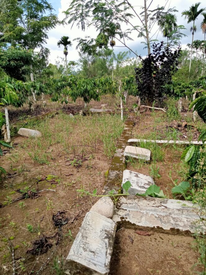 
					Tak Tau Diri, Diduga Arsidi Caplok Tanah Pemakaman Masyarakat Galang Tinggi