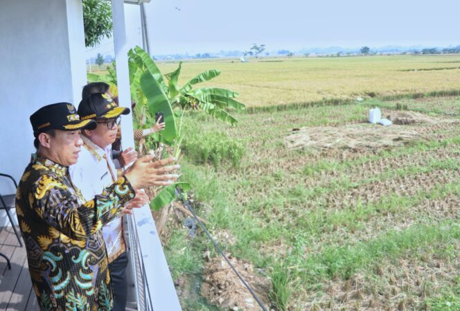 
					Pj Gubernur Lampung Dukung Upaya Pemkab Pringsewu Tingkatkan Pendapatan Daerah Melalui Pengembangan UMKM di Rest Area
