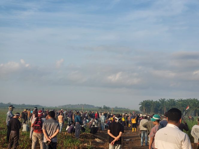 
					Warga Klaim Tanah Adat, Tanami Lahan PT BSA