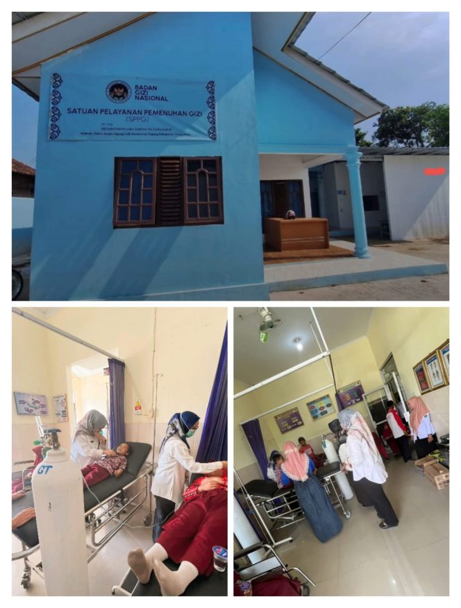 
					Puluhan Siswa SD Keracunan, Hasil Lab Sebut Lele Goreng MBG Tercemar Bakteri Salmonella