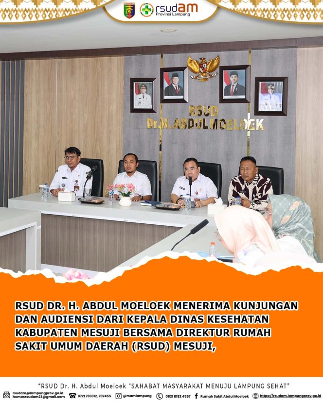 RSUD Abdul Moeloek dan Pemkab Mesuji Jalin Kolaborasi Tingkatkan Pelayanan