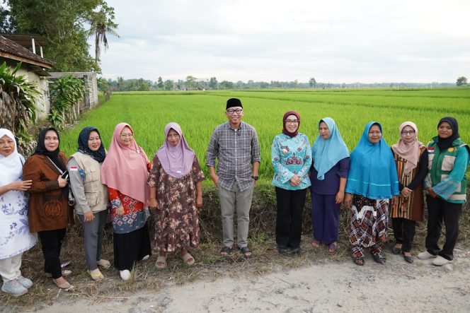
					Tinjau Buay Bahuga, Gubernur Lampung Tawarkan Solusi Konkret Infrastruktur dan Pemulihan Lahan Tani
