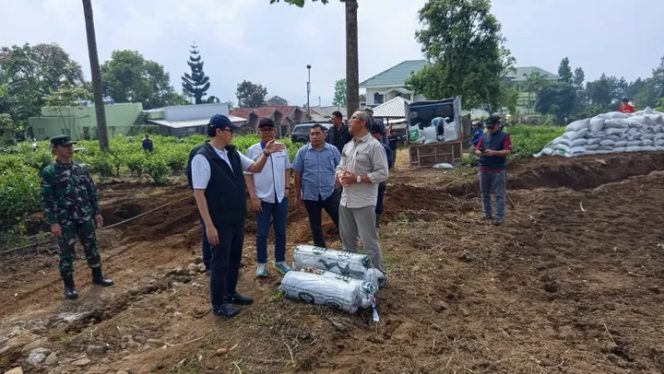 
					Dukung Swasembada Pangan, PTPN I Kembangkan Bawang Putih di Cianjur
