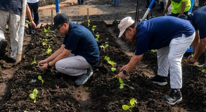 
					PTPN I Bidik Rusia-China, Tembakau Jember Siap Kuasai Pasar Cerutu Dunia